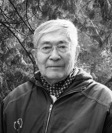 陈铁梅 陈铁梅